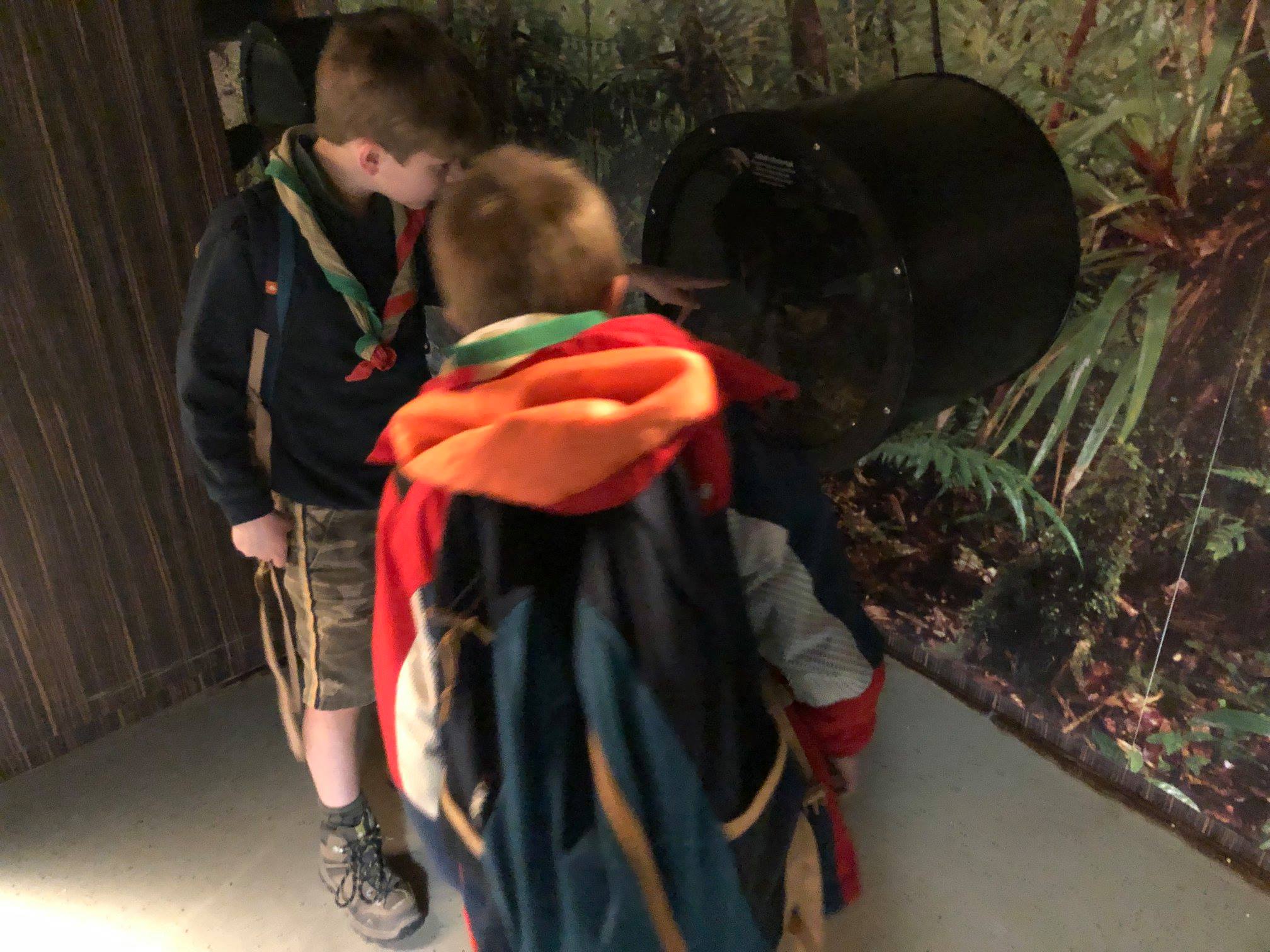 Sint-Martinus den XIIde - Zoo Antwerpen Kapoenen